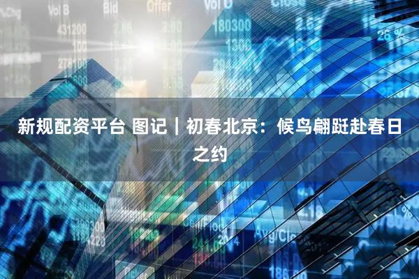 新规配资平台 图记｜初春北京：候鸟翩跹赴春日之约