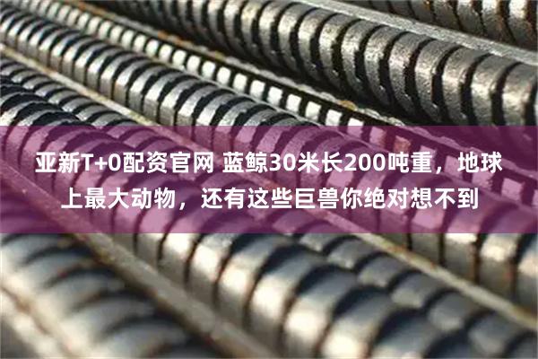 亚新T+0配资官网 蓝鲸30米长200吨重，地球上最大动物，还有这些巨兽你绝对想不到
