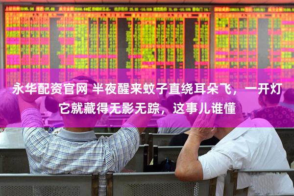 永华配资官网 半夜醒来蚊子直绕耳朵飞，一开灯它就藏得无影无踪，这事儿谁懂