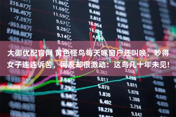大御优配官网 黄色怪鸟每天啄窗户还叫唤,吵得女子连连诉苦,网友却很激动:这鸟几十年未见!
