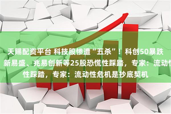 天赐配资平台 科技股惨遭“五杀”!科创50暴跌22%,中际旭创、新易盛、兆易创新等25股恐慌性踩踏,专家:流动性危机是抄底契机